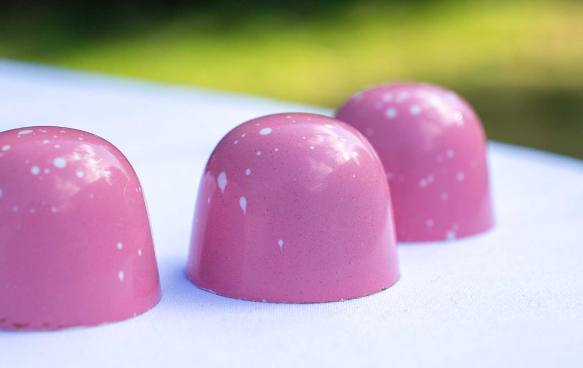 Pop of Spring - Praliné Chocolatiers